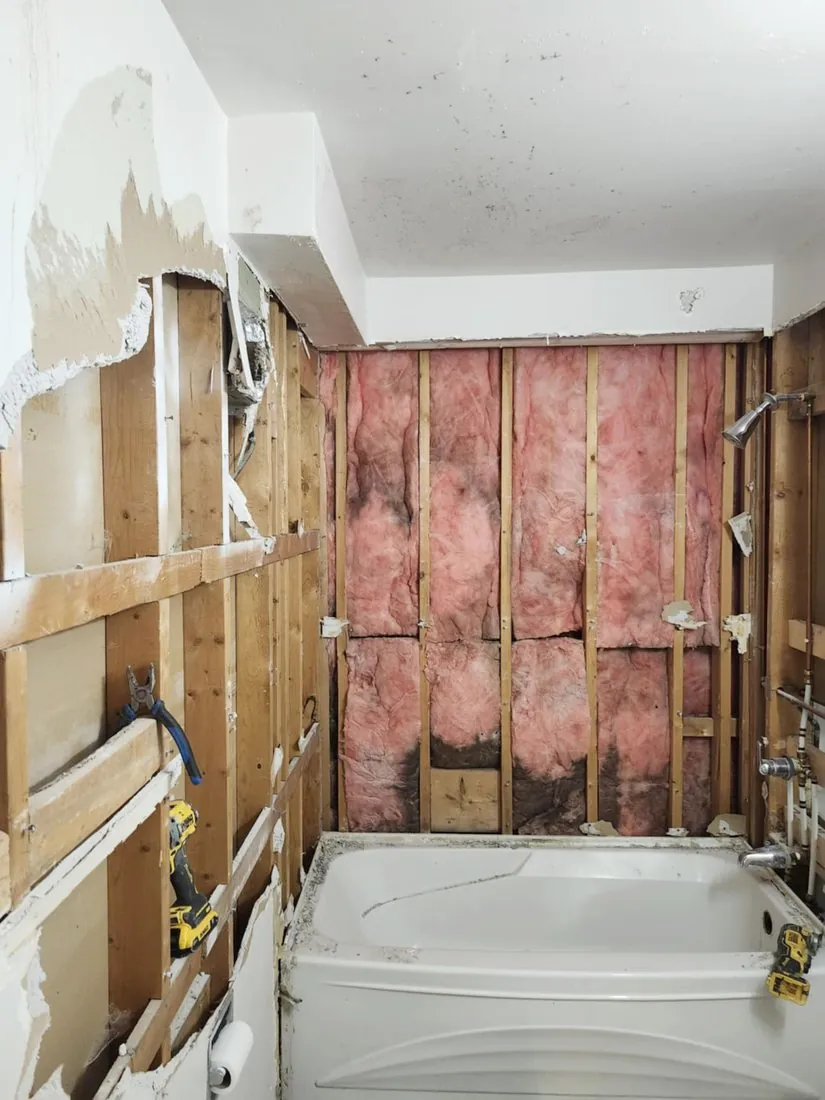 Walls opened up
